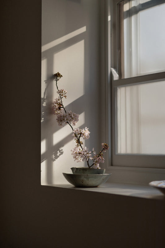 Wild Sand Flower Bowl & Pouring Jug Set IV by Chloé Rosetta Bell