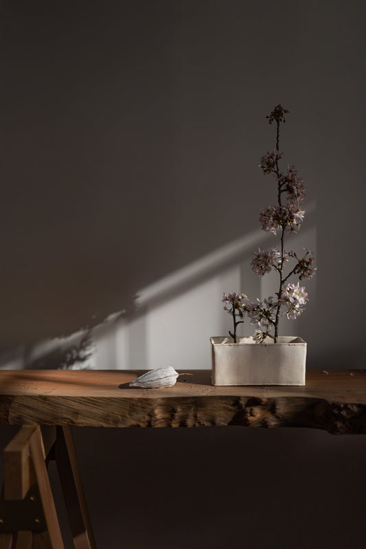 Seed Pod Object by Hyejin Lee