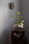 Vase / Vessel IV