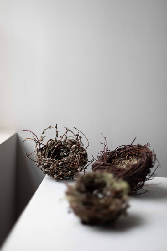 Large Catkin Nest by Joe Hogan