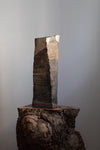 Twisted Oak Vessel