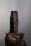 Twisted Oak Vessel