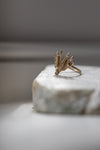 Diamond Moth Ring' by Laura Ngyou
