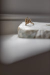 Diamond Moth Ring' by Laura Ngyou