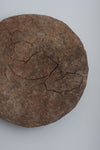 Material Study #759