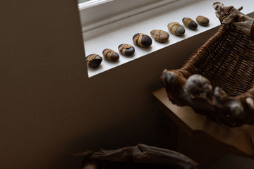 Shizu Designs