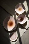 Small Plate in Tender Bloom