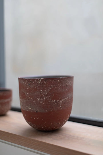 HoJung Kim Large Vessel