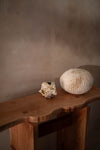 Console in London Plane