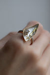 Wunderkammer Ring' by Laura Ngyou