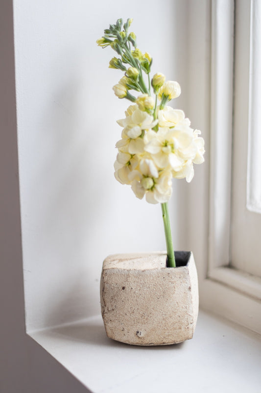 White Square Vase I by Tamotsu Suzuki