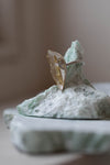 Wunderkammer Ring' by Laura Ngyou